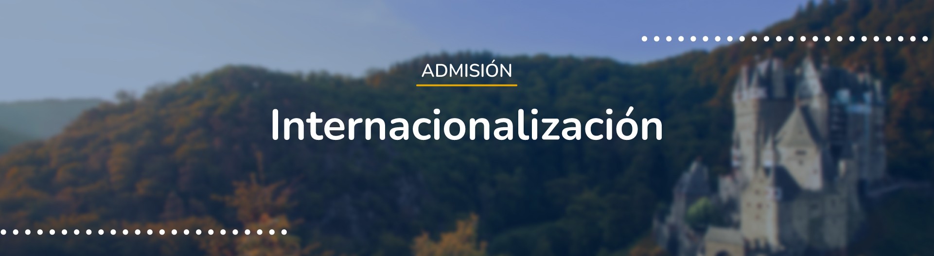 banner Internacionalizacion